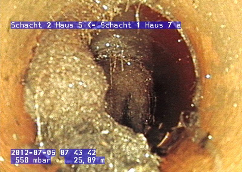 Wurzeleinwuchs im Abwasserrohr