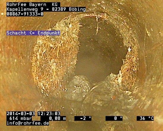 Abflussrohr mit Wurzeleinwuchs vor der Sanierung